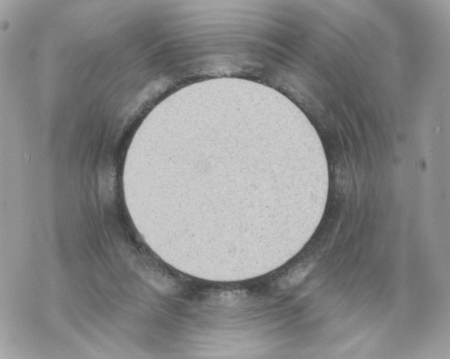 X0000069810304200606161856