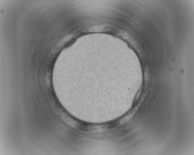 X0000069810305200606161856