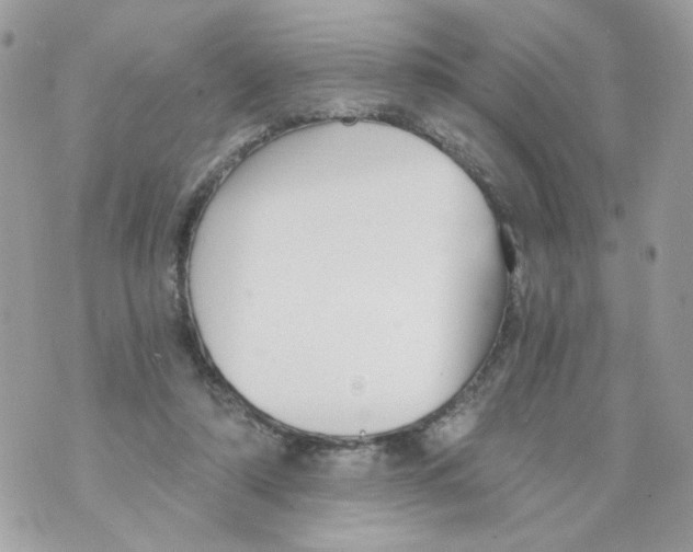 X0000069810306200606161856