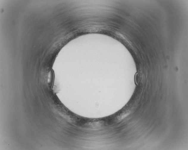 X0000069810307200606161856