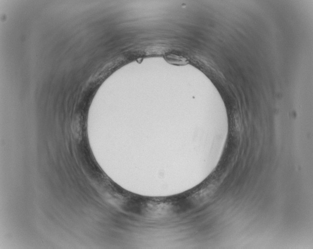 X0000069810311200606161856