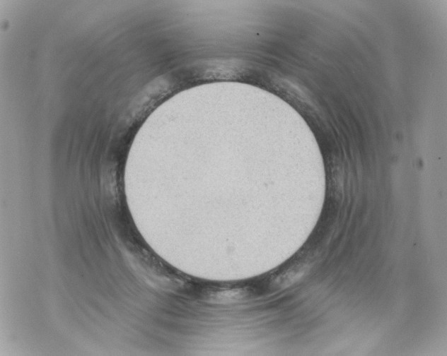 X0000069810312200606161856