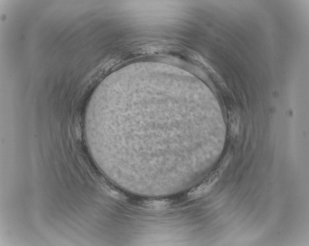 X0000069810313200606161856