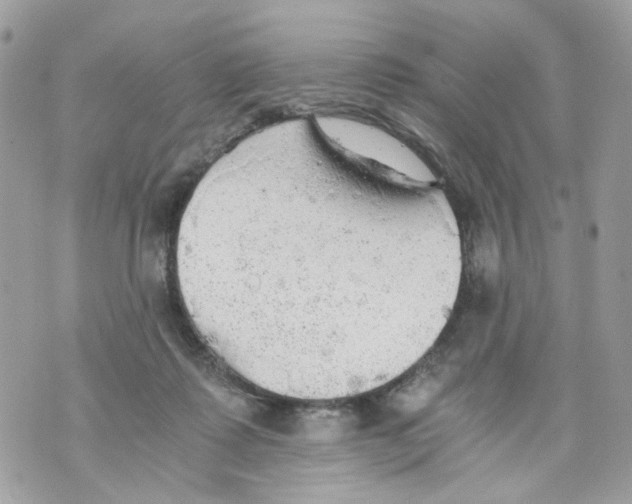 X0000069810315200606161856