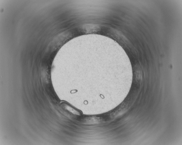 X0000069810316200606161856