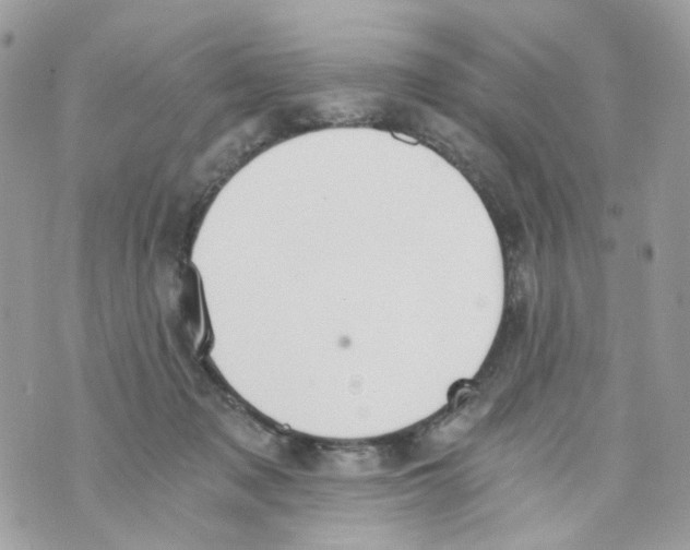 X0000069810317200606161856