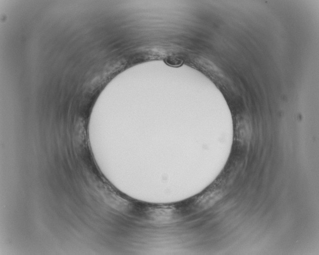 X0000069810318200606161856