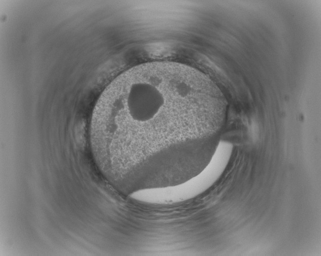 X0000069810319200606161856