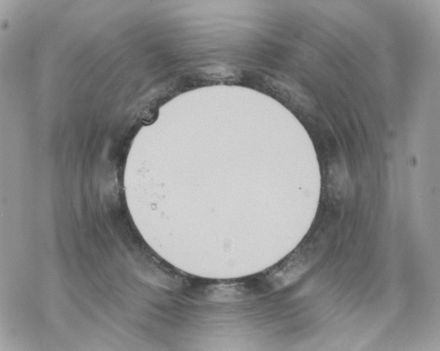 X0000069810320200606161856