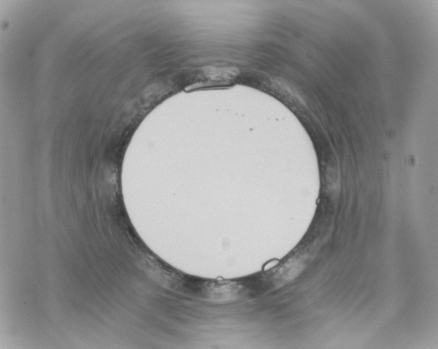 X0000069810321200606161856