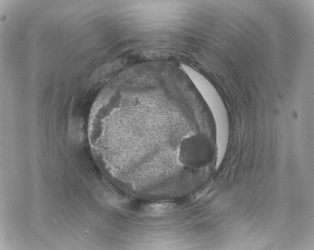 X0000069810323200606161856