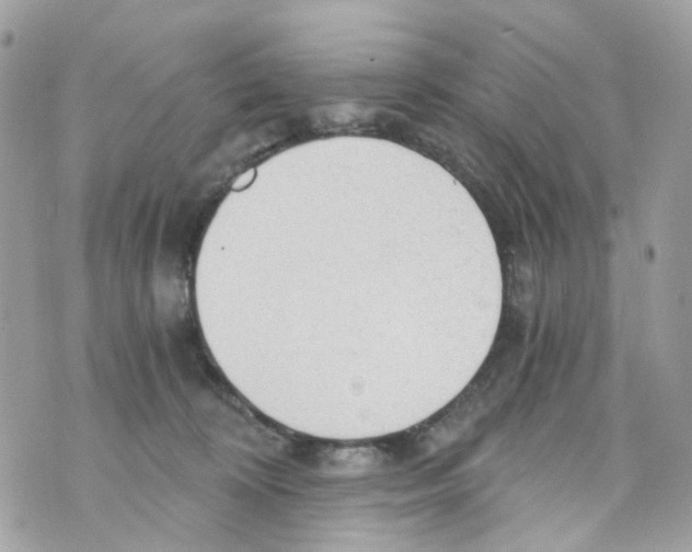 X0000069810324200606161856