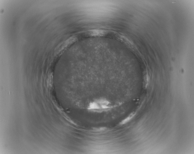 X0000069810325200606161856