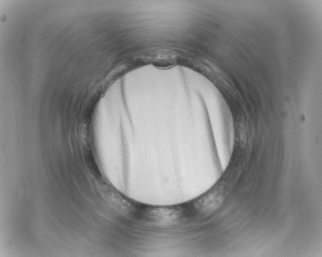 X0000069810326200606161856