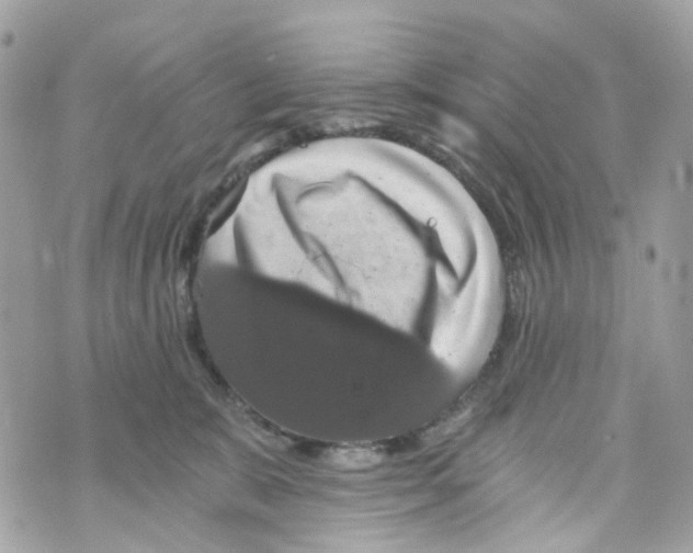 X0000069810327200606161856