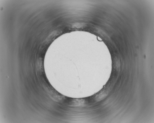 X0000069810328200606161856