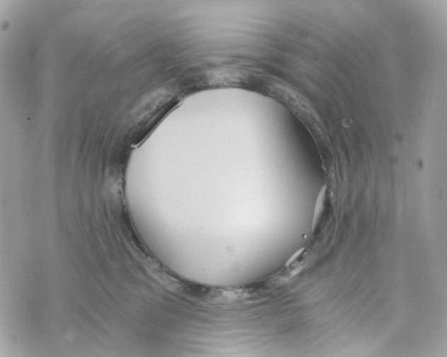 X0000069810329200606161856