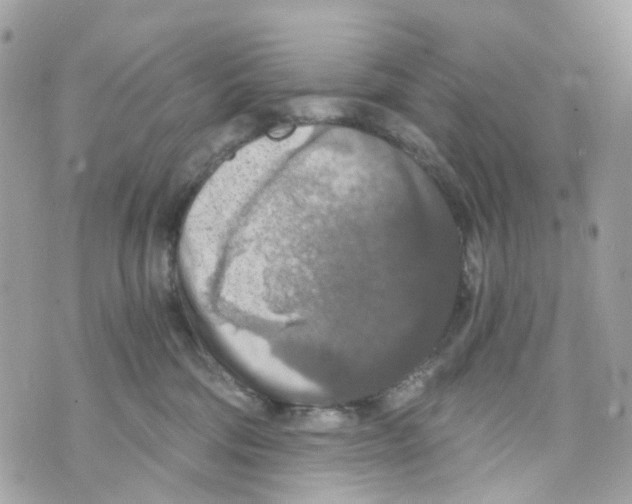 X0000069810330200606161856