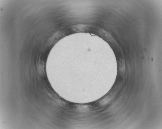 X0000069810332200606161856