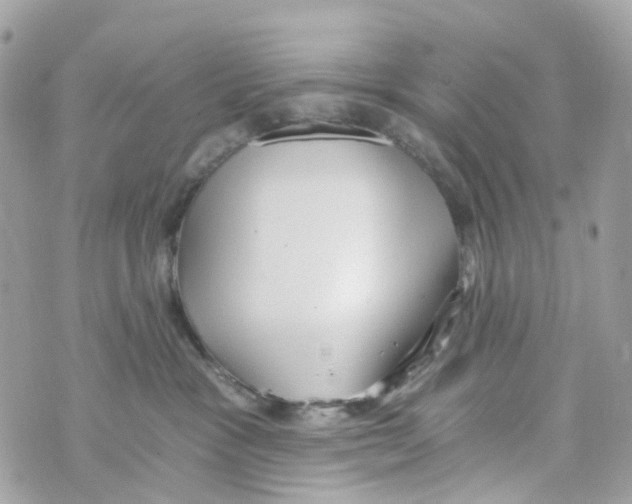 X0000069810333200606161856