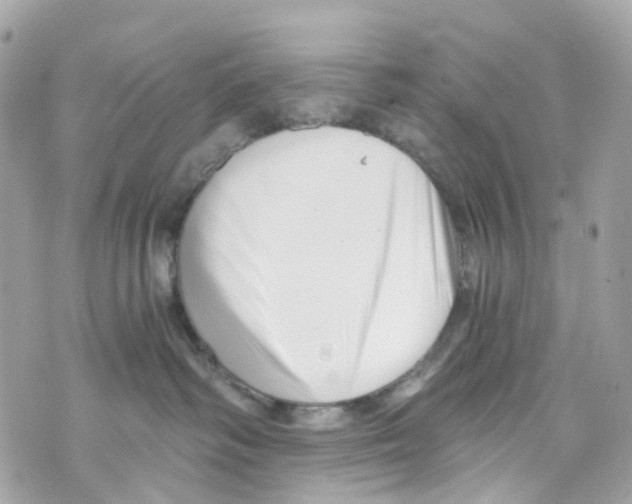 X0000069810334200606161856