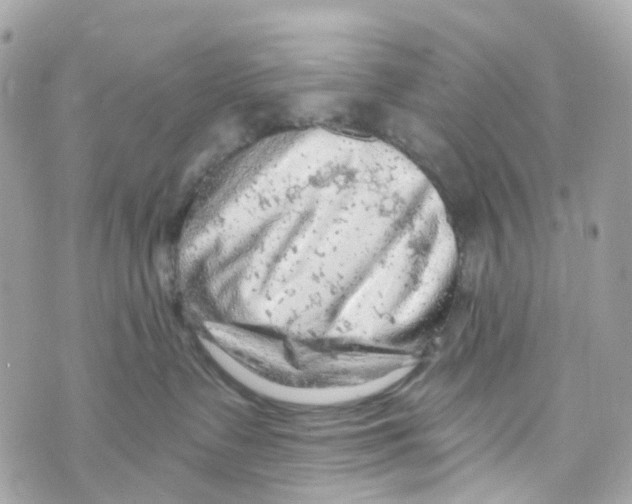 X0000069810335200606161856