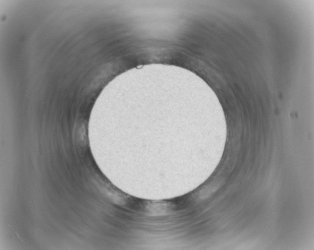 X0000069810336200606161856