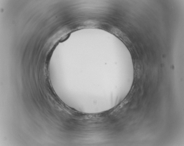 X0000069810338200606161855