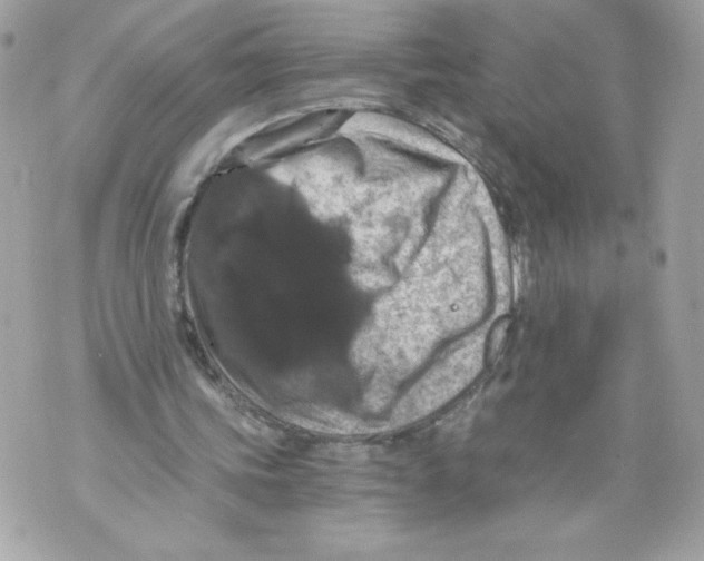 X0000069810339200606161855