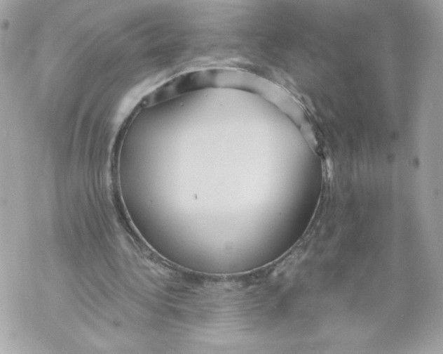 X0000069810340200606161855