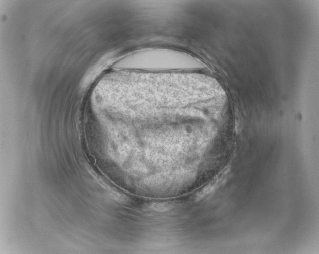 X0000069810341200606161855