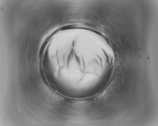 X0000069810342200606161855