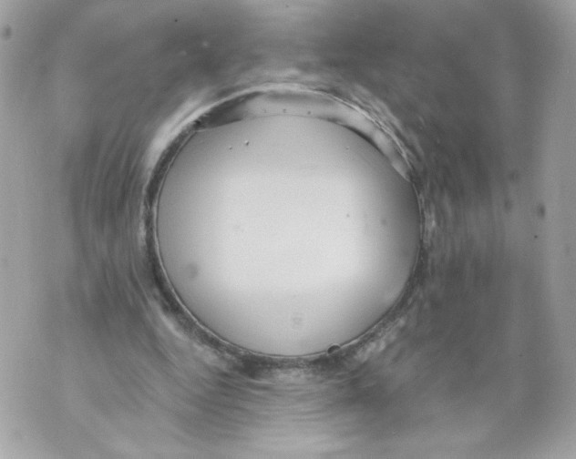 X0000069810344200606161855