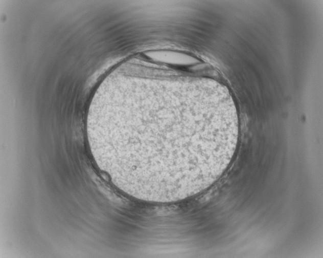 X0000069810345200606161855