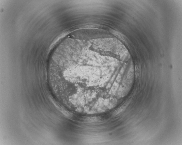 X0000069810349200606161855