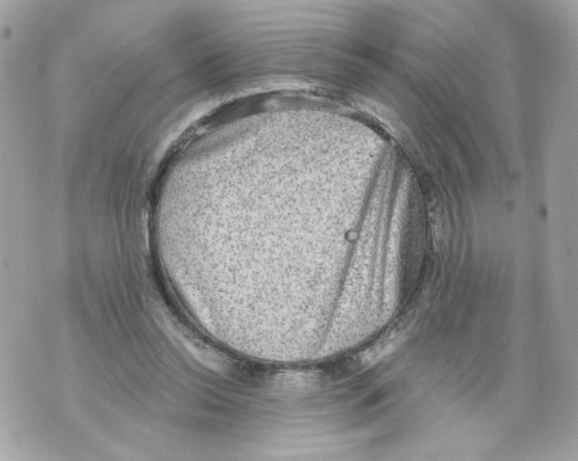 X0000069810350200606161855