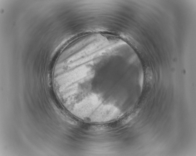 X0000069810351200606161855