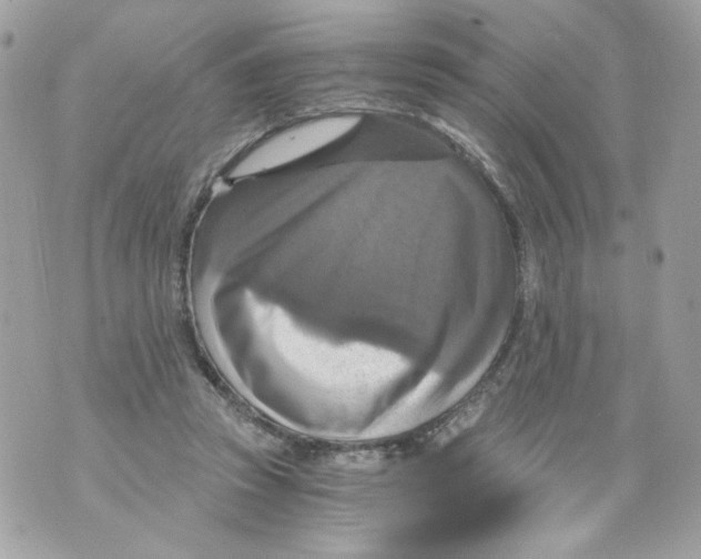 X0000069810353200606161855