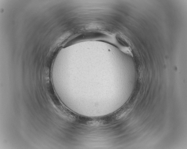 X0000069810356200606161855