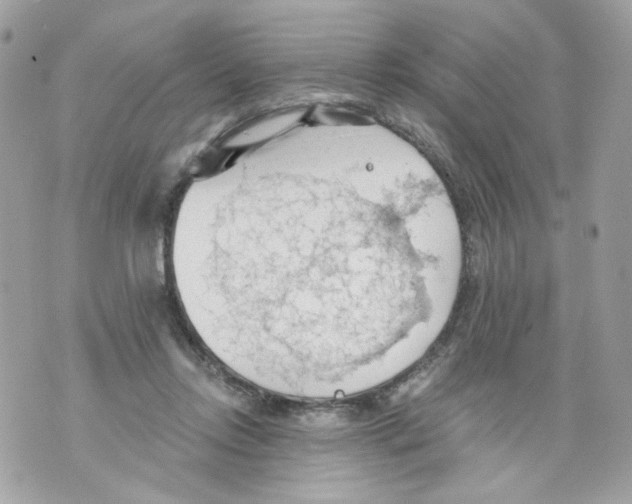 X0000069810358200606161855