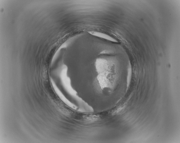 X0000069810359200606161855