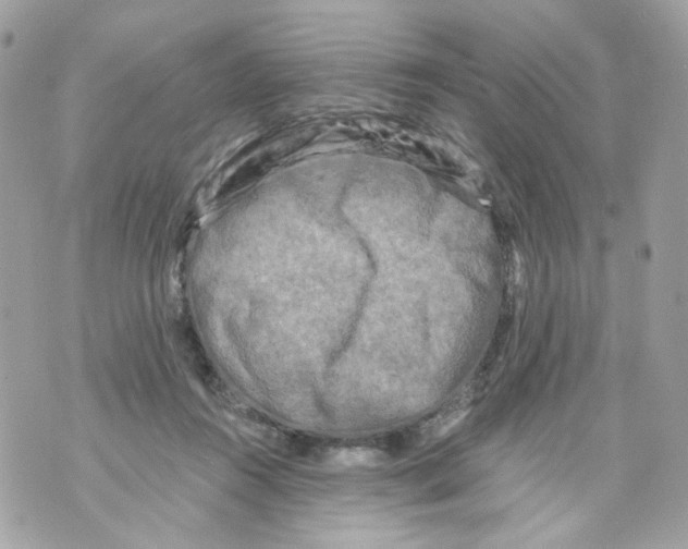 X0000069810360200606161855