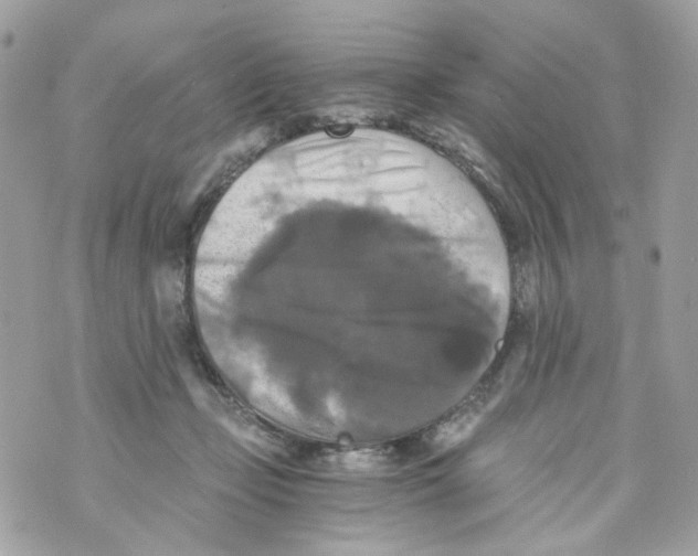 X0000069810365200606161855