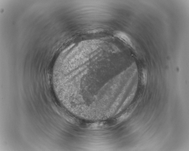 X0000069810366200606161855