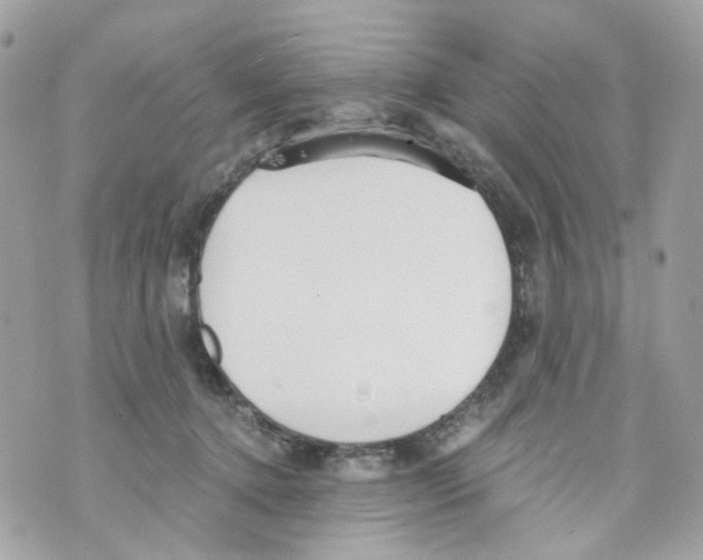 X0000069810368200606161855