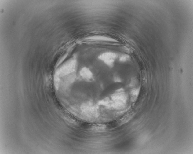 X0000069810369200606161855