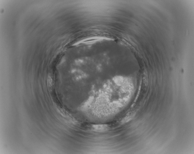 X0000069810371200606161855