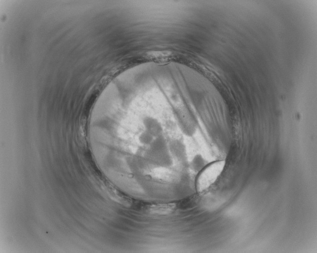 X0000069810373200606161855