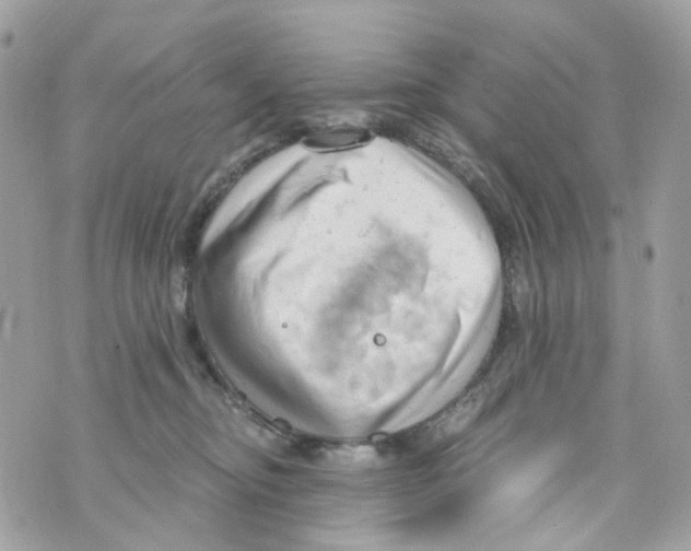 X0000069810374200606161855