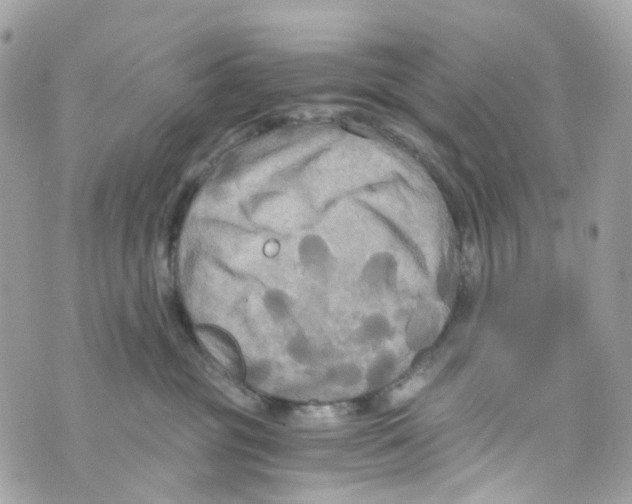 X0000069810381200606161856